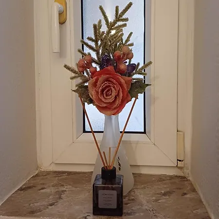 Apartament Square 29